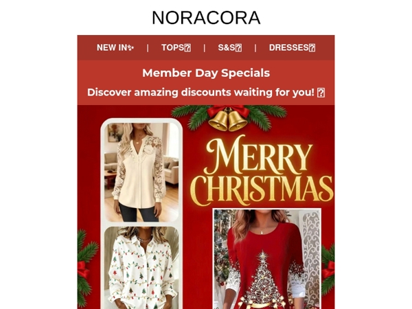 🤩Exclusive Christmas Sale for Members is Here! 🎁