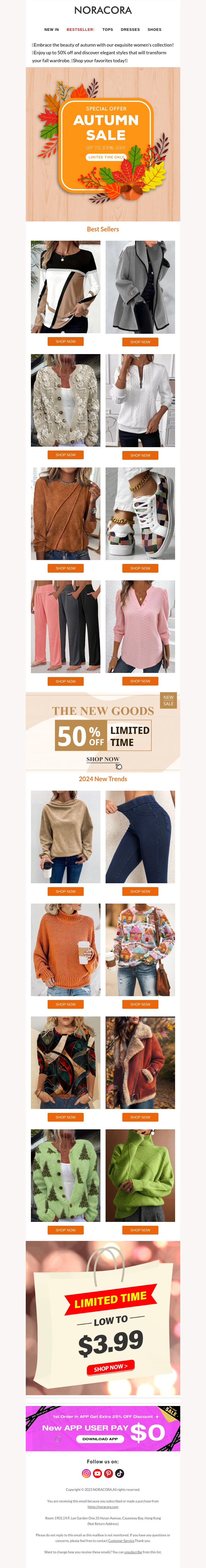 Unmissable Women's Styles to Enchant Your Autumn Wardrobe🤩 Unmissable Women's Styles to Enchant Your Autumn Wardrobe🤩