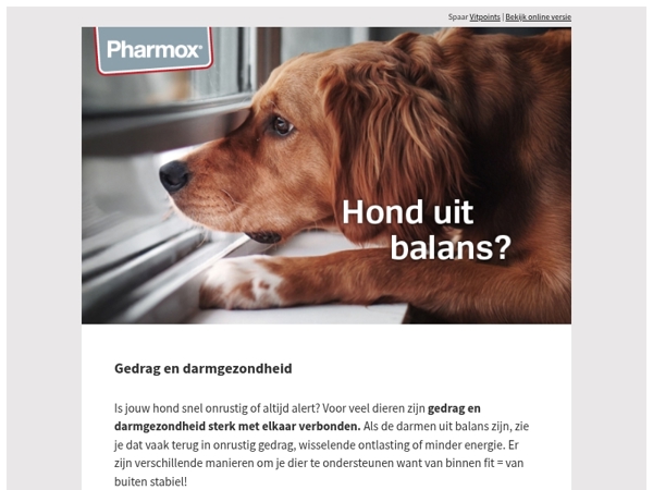 Onrustige hond? Kijk eens naar zijn buik