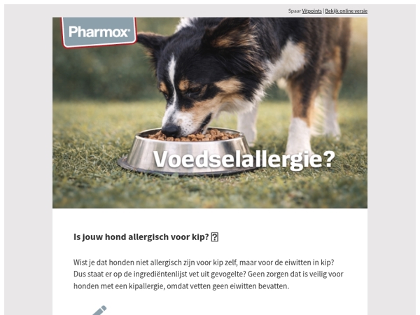 Help, mijn hond is allergisch voor kip! 🐶