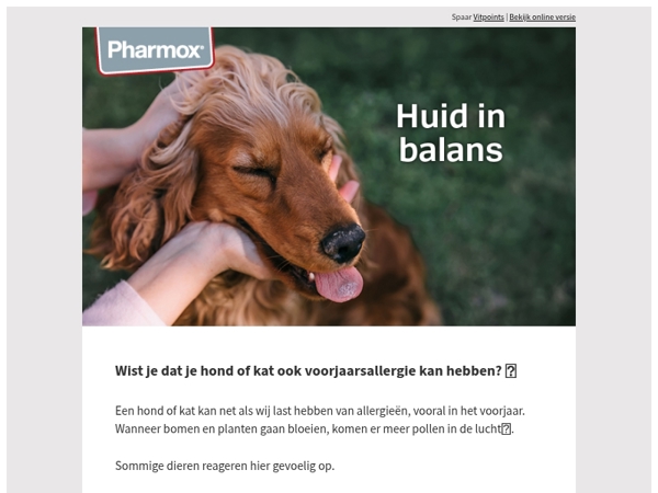 Wist je dat je hond of kat ook voorjaarsallergie kan hebben? 🐱