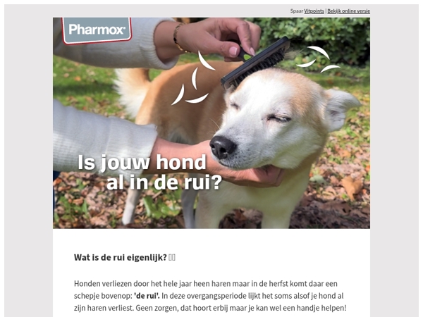 Help mijn hond verhaart!