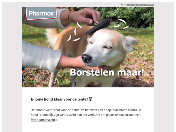 Is jouw hond klaar voor de lente? 🐶