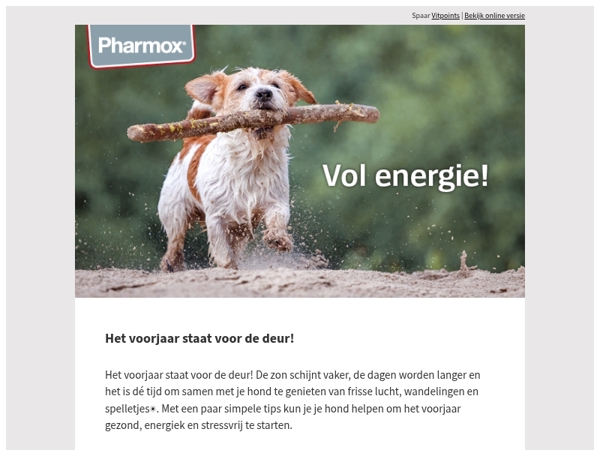 🌸 Geef je hond een Voorjaarsboost! Zo start je samen vol energie