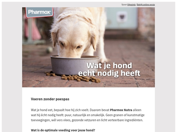 Voeren zonder poespas. Ontdek welke voeding bij jouw hond past