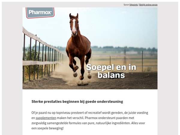 Hoe zorg je ervoor dat je paard lekker beweegt? 🐎