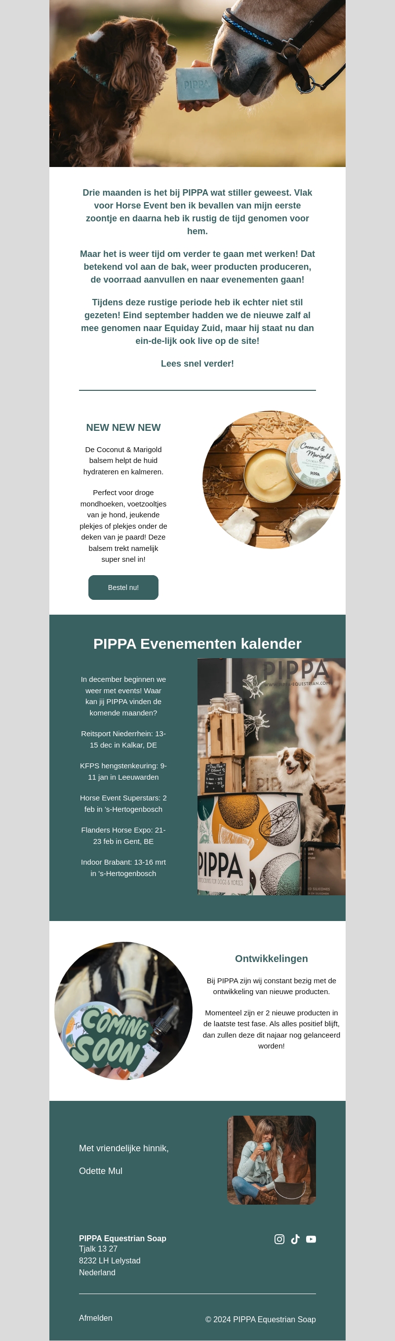 🦄 NEW NEW NEW ✨ 🦄 NEW NEW NEW ✨