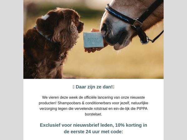 🥳 Vanaf nú beschikbaar; Borstels, Rotstraal producten en meer! 🥳