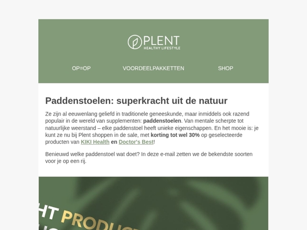 Wauw! Paddenstoelen in de spotlight!🍄