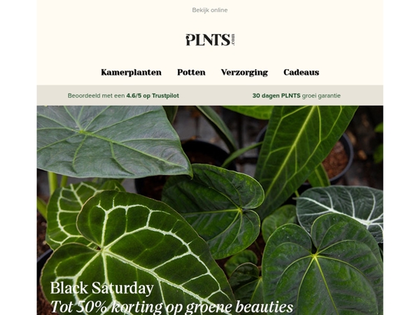 Tot 50% korting op onze favoriete planten! 💚