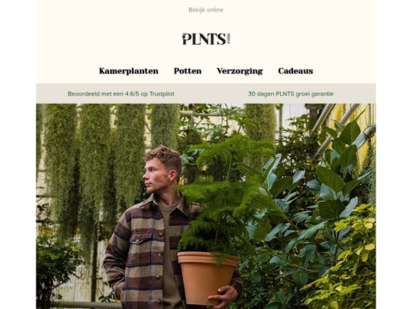 Babyplantjes tot 50% korting! 🌱