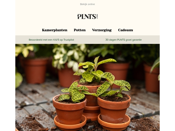 Gratis Macodes Petola + grote kortingen op sustainability boxes 🌱🌍