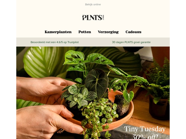  30% korting op babyplantjes, de schattigste deal van PLNTS Week! 💚