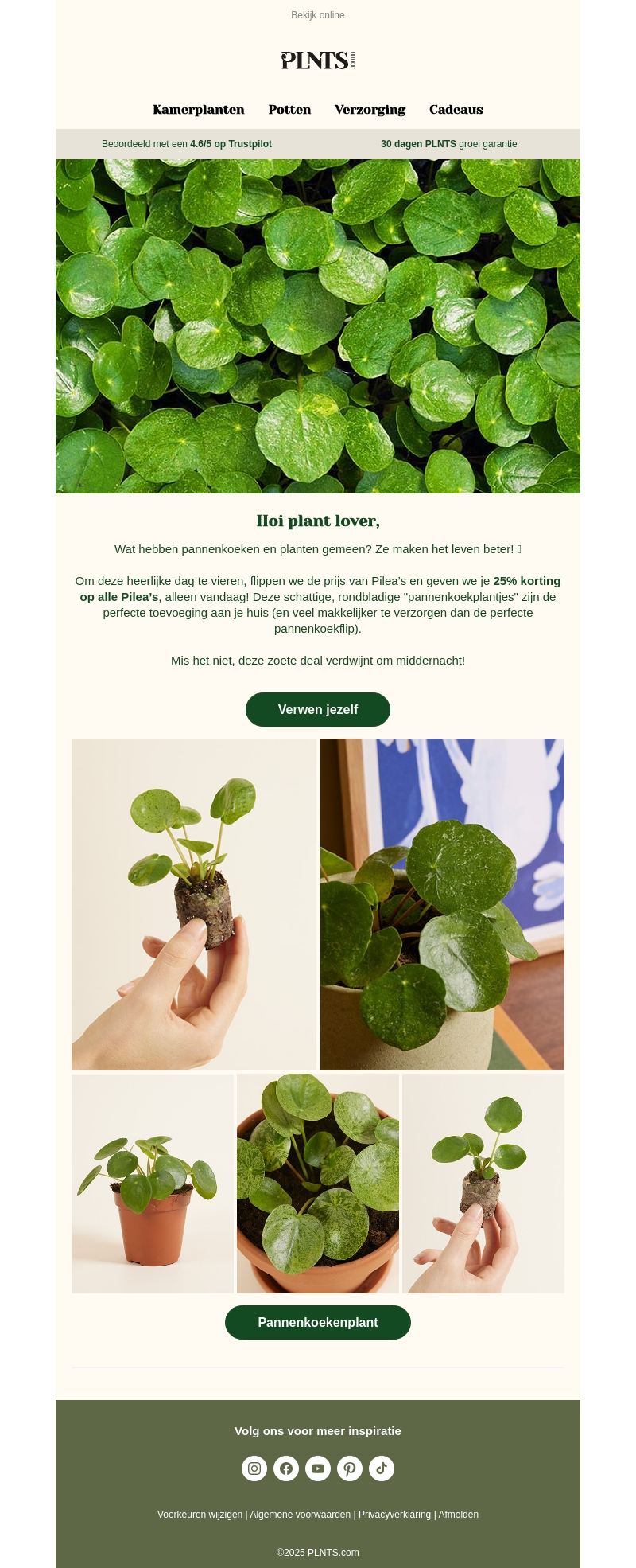 Een speciale Pannenkoekendag-deal: vandaag 25% korting op Pilea’s! 🥞🌱 Een speciale Pannenkoekendag-deal: vandaag 25% korting op Pilea’s! 🥞🌱