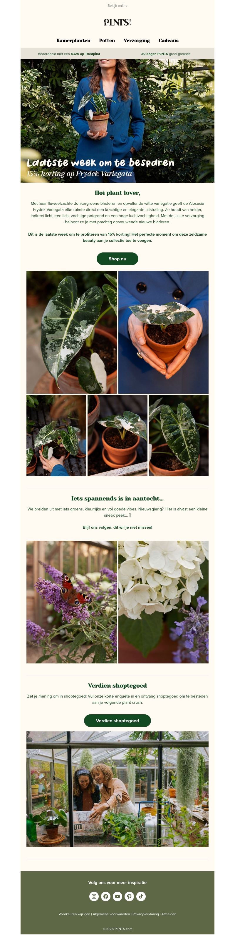 15% korting op Frydek Variegata π± 15% korting op Frydek Variegata π±