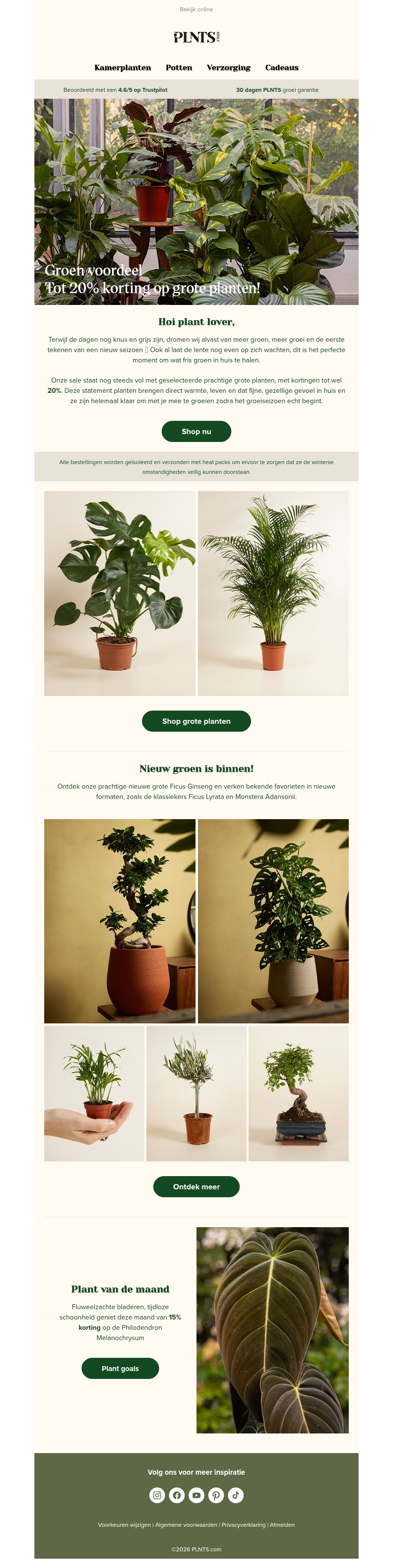Tot 20% korting op grote planten & nog meer groen om te ontdekken 🌱 Tot 20% korting op grote planten & nog meer groen om te ontdekken 🌱