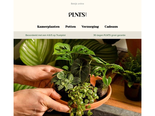 Alleen dit weekend: tot 50% korting op groene favorieten! 🌱