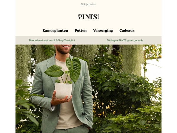 50% korting op Monstera Deliciosa Variegated, laatste kans! 🌱
