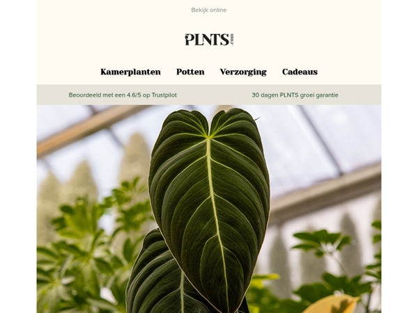 50% korting op Melano Magic, maar niet voor lang! 🌱