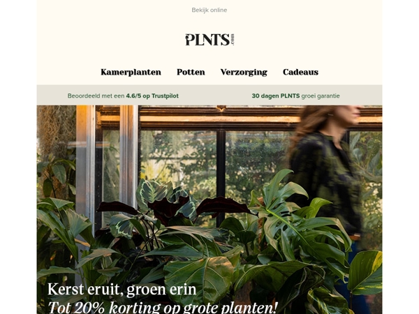 Tot 20% korting op geselecteerde grote planten 🌱