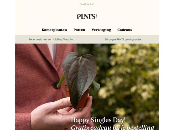 Gratis baby Anthurium Queen of Hearts roept jouw naam! 💚