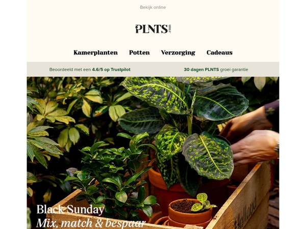 3 planten voor €49,95: Mix, match & bespaar! 🔥