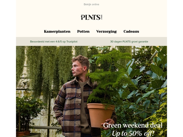 Weekend deals voor planten waar je dol op zult zijn, tot 50% korting 🌿