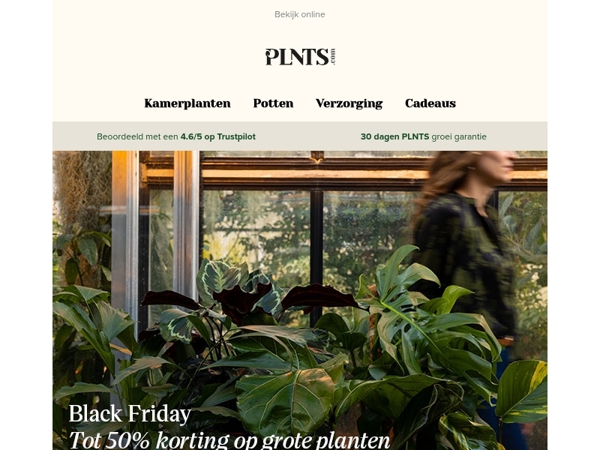 Tot 50% korting op je favoriete grote planten! 🌱