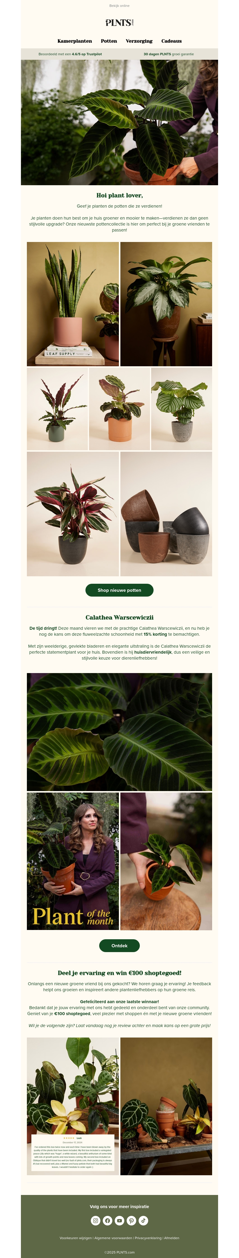 Geef je planten een upgrade, ontdek onze nieuwe potten π Geef je planten een upgrade, ontdek onze nieuwe potten π