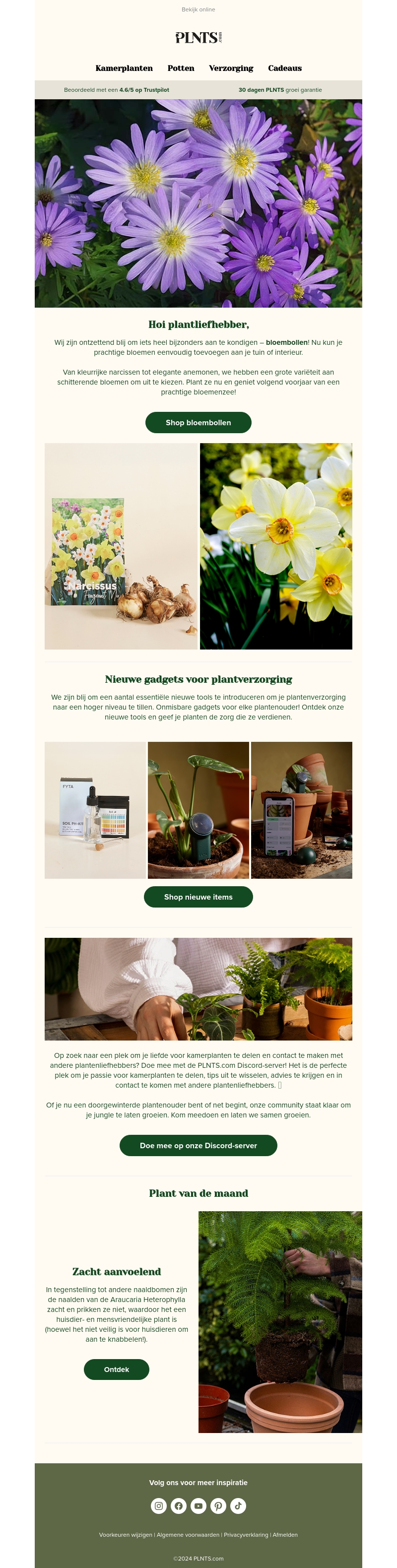 Kleurrijke bloembollen β Nieuw in onze shop! π Kleurrijke bloembollen β Nieuw in onze shop! π