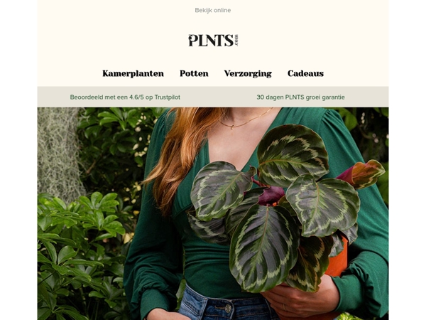 Oktobertraktatie: 15% korting + gratis groen leesvoer! 🌱