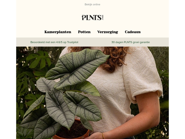 50% korting op deze groene legendes, laatste kans! ⏰