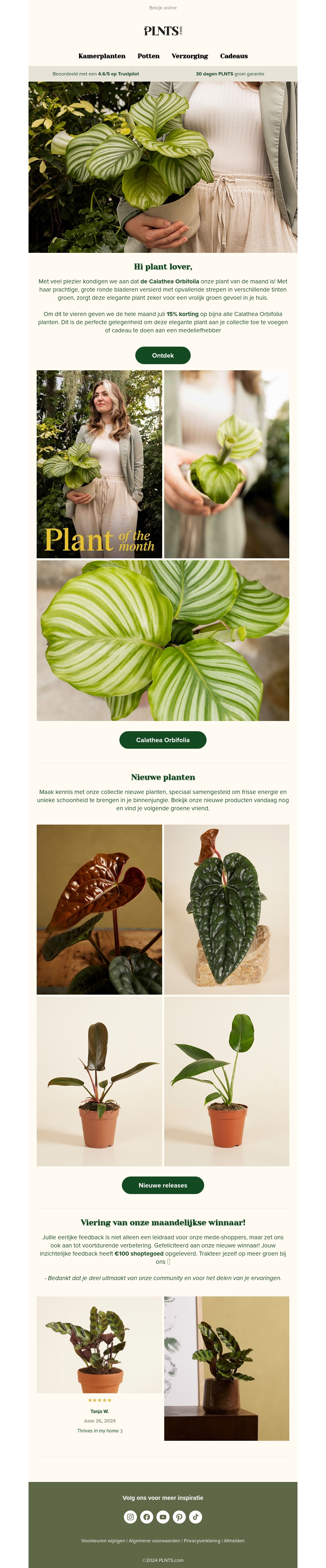 Nieuw groen voor je huis - Ontdek het vandaag! π± Nieuw groen voor je huis - Ontdek het vandaag! π±