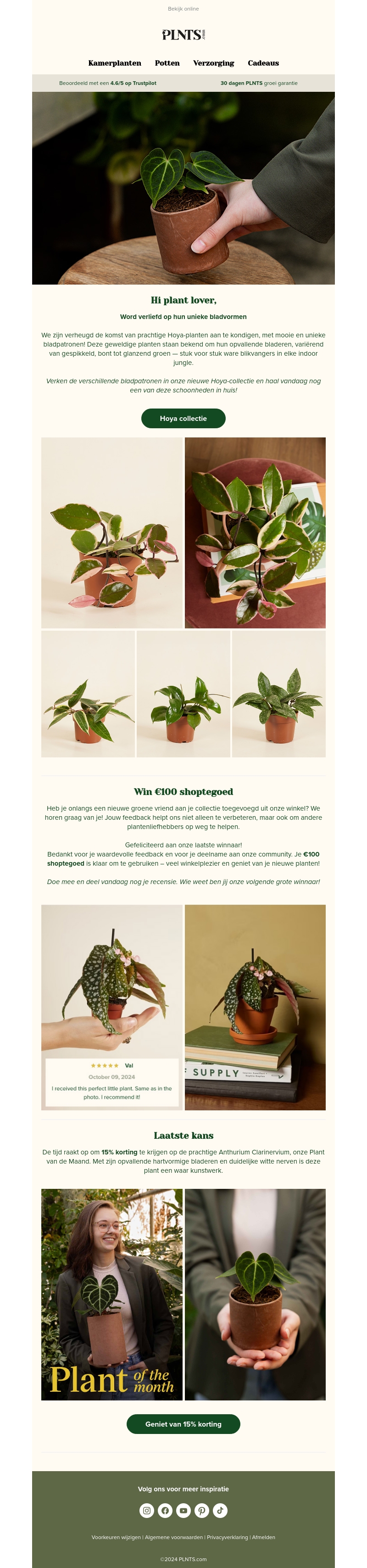 Nieuwe Hoya-planten zijn gearriveerd! π± Nieuwe Hoya-planten zijn gearriveerd! π±