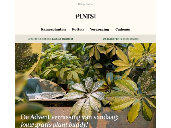 Je eerste Advent verrassing staat klaar… 🎅🌱