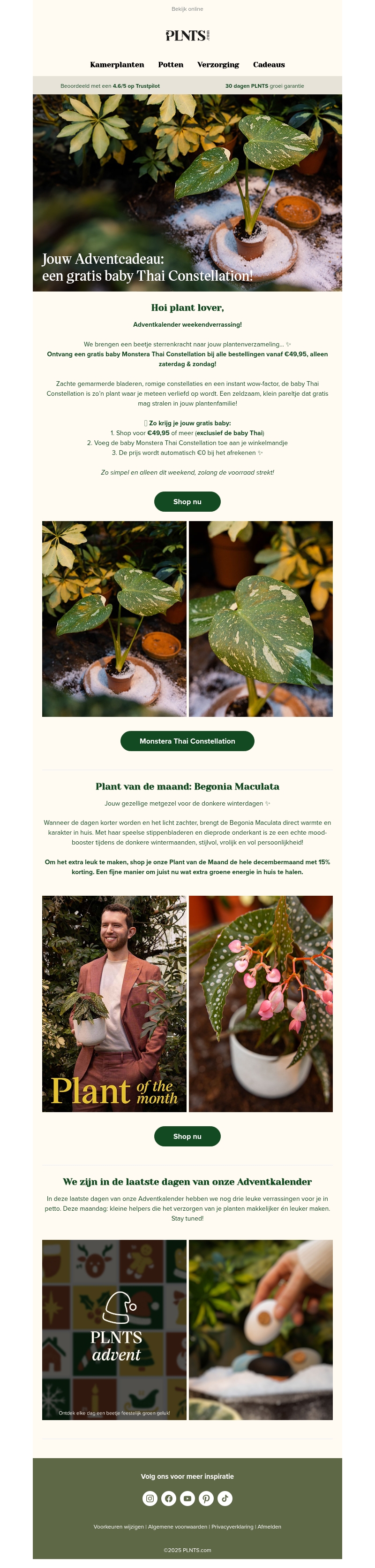 Jouw gratis baby Monstera Thai Constellation ✨ Jouw gratis baby Monstera Thai Constellation ✨
