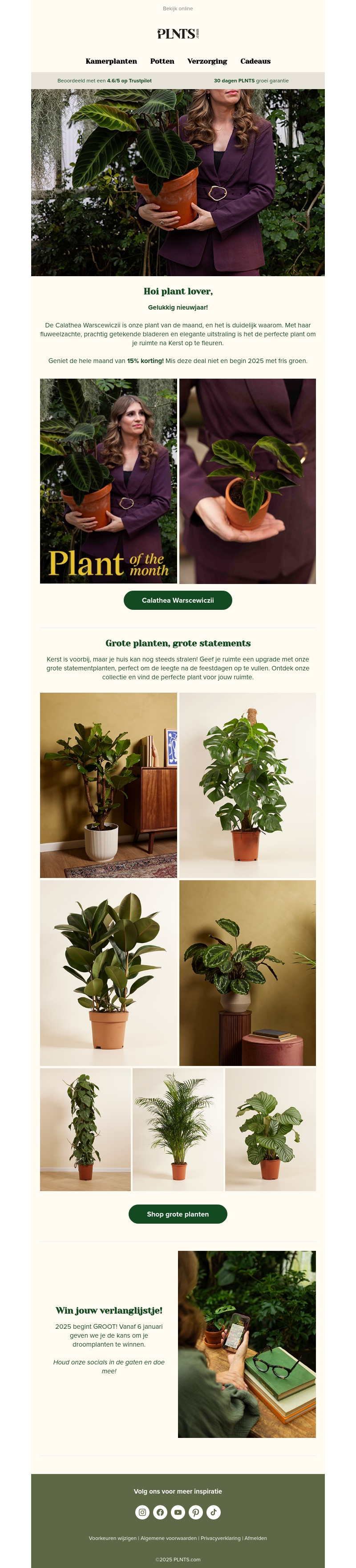 Vul de ruimte na de feestdagen op met opvallend groen! π± Vul de ruimte na de feestdagen op met opvallend groen! π±