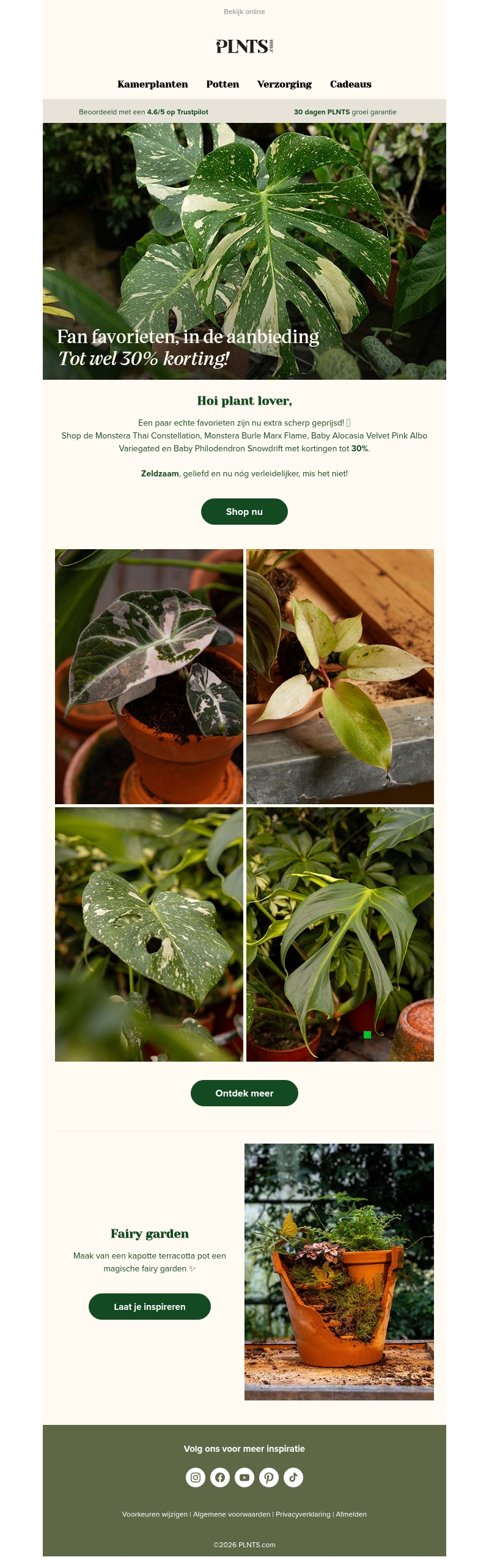 Zeldzame planten tot 30% korting 🌱💚 Zeldzame planten tot 30% korting 🌱💚