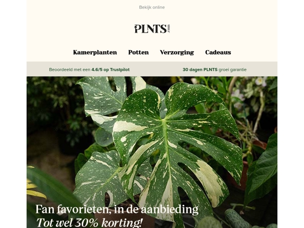 Zeldzame planten tot 30% korting 🌱💚