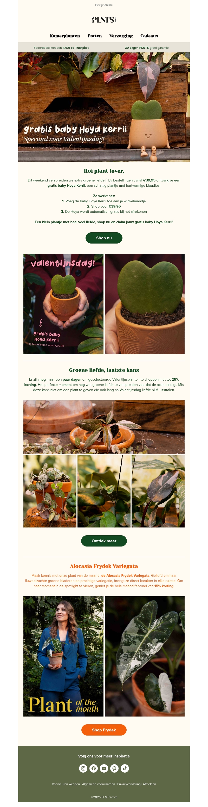 Een gratis babyplant cadeau bij je bestelling dit weekend! π± Een gratis babyplant cadeau bij je bestelling dit weekend! π±