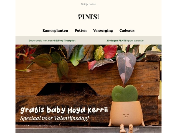 Een gratis babyplant cadeau bij je bestelling dit weekend! 🌱