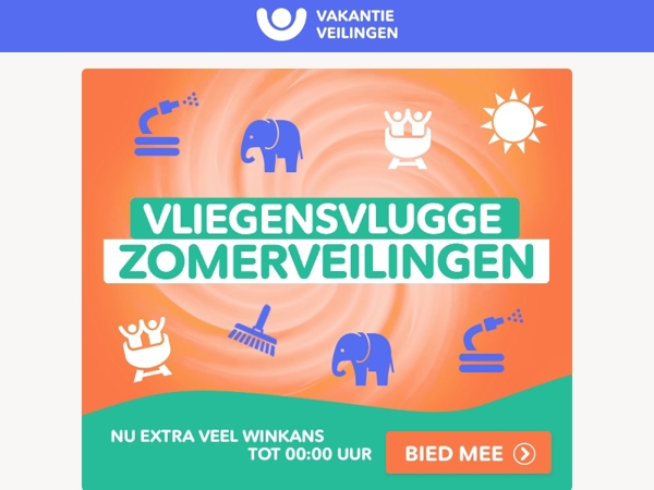 Alleen vanavond: Vliegensvlugge Zomerveilingen🌞