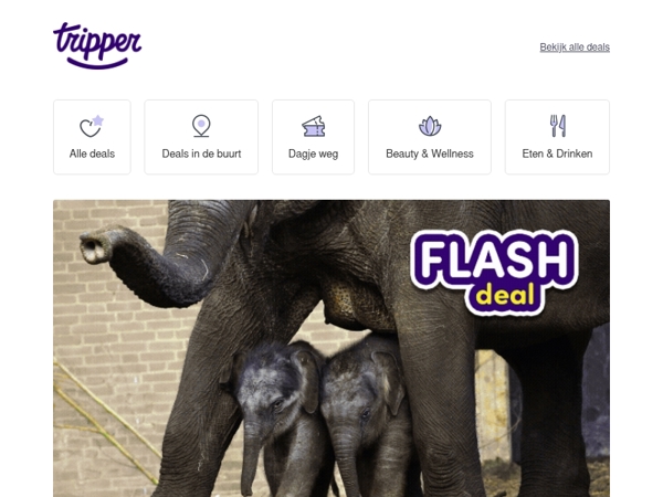 ⚡ Flashdeal: ARTIS-Park, dé iconische dierentuin van Nederland!