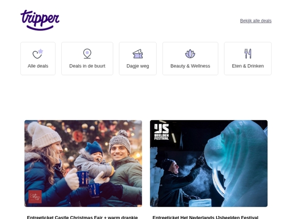 Nieuw! Het Nederlands IJsbeelden Festival❄️