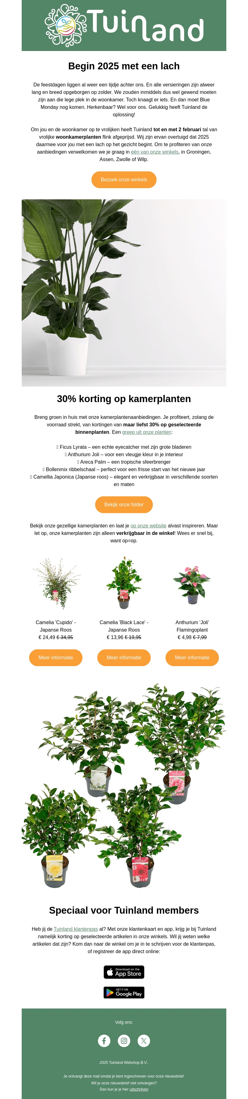 30% korting op onze kamerplanten 🪴 30% korting op onze kamerplanten 🪴