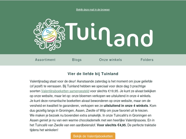 Vier de liefde! ❤️ Valentijnsboeketten & 20% korting op kamerplanten