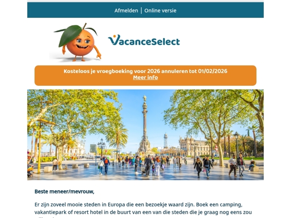 Zin in stad, cultuur en geschiedenis?