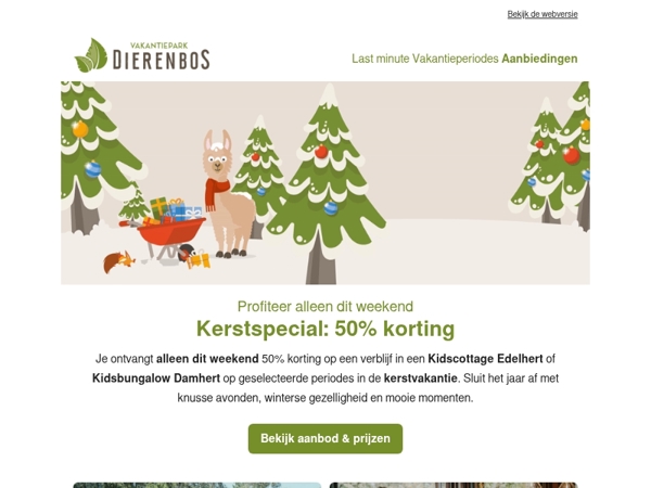 Kerstspecial: maar liefst 50% korting