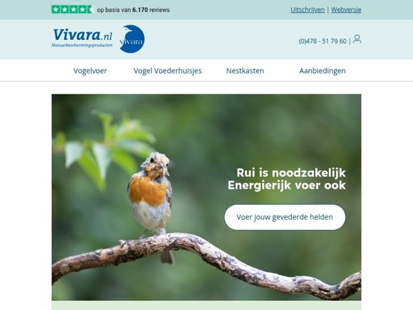🪶 Licht als een veertje – vogels in een nieuw jasje