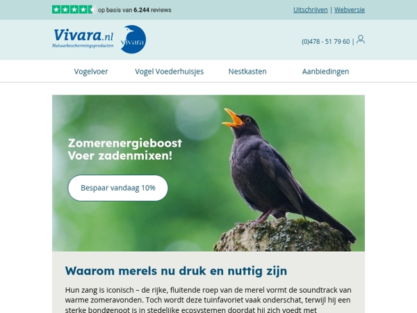 🐦‍⬛ Alles over merels in de late zomer